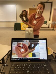 Wildlife educator holds snake up to computer camera