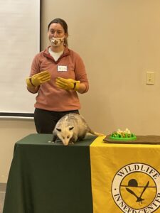 Wildlife educator and Virginia Opposum