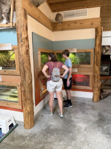 A young man and woman who might be his mother look at a natural life display.