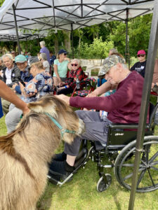 A man in a wheelchair pets a brown donkey at an event.