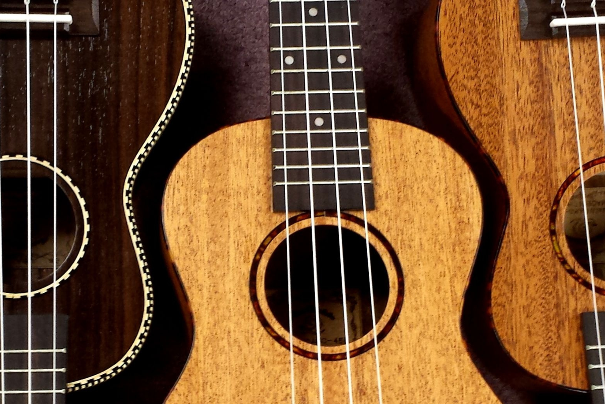 close up of a ukelele