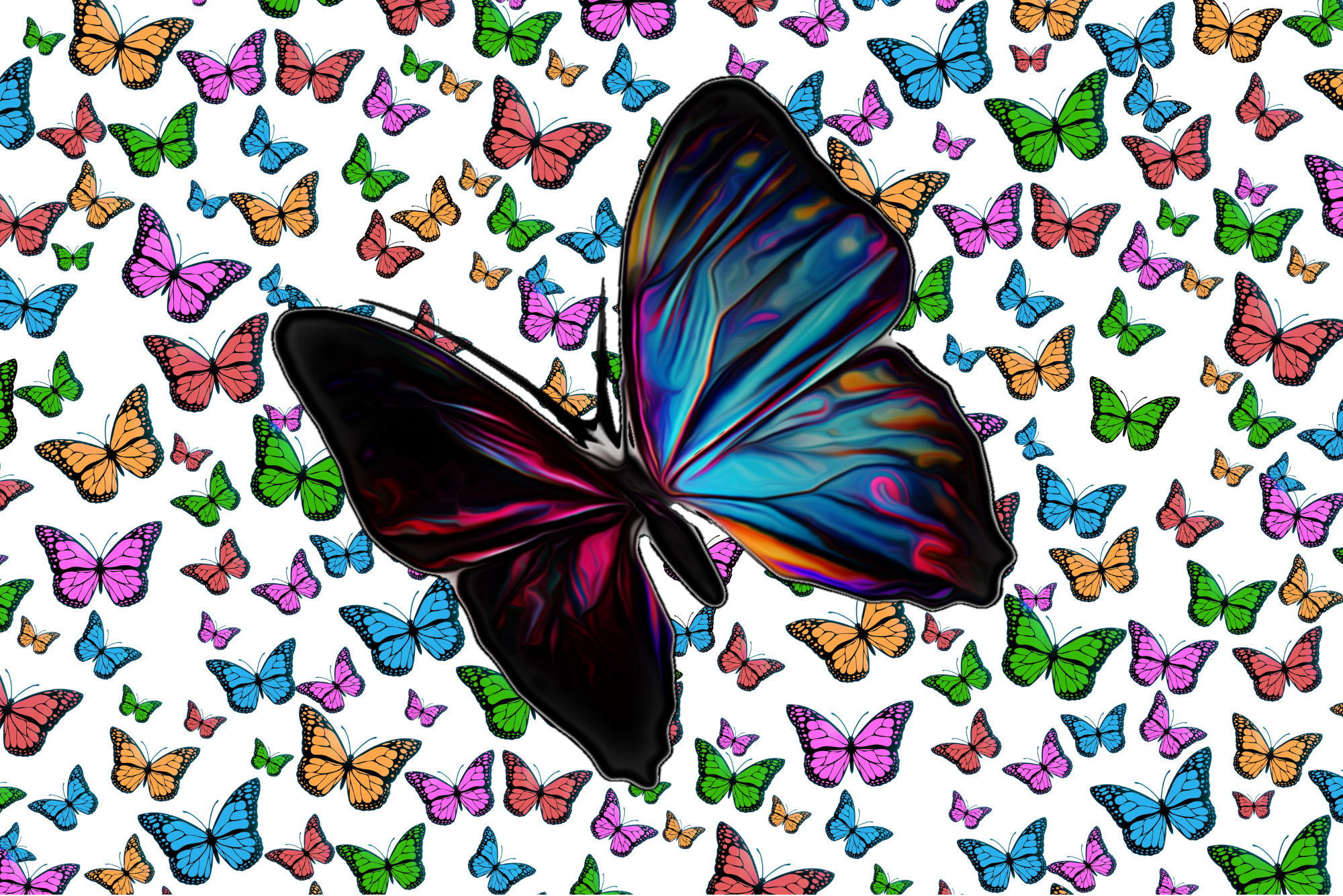 A dramatically colored butterfly in front of a background of multi-colored butterflies