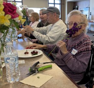 Older individuals sitting around a table arranging flowers, with one woman smelling a purple flower.