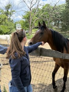 Young woman reaches to pet a horse