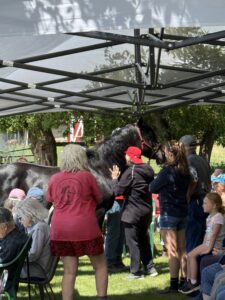 Horse brought closer to a crowd of people sitting and standing to meet for a meet and greet